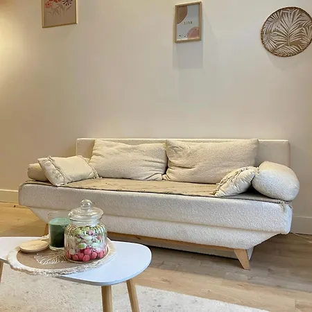 Le Cocon - Hopital - Netflix - Climatisation * 蒙托邦