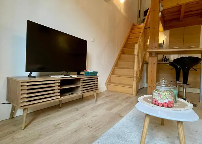 דירה Le Cocon - Hopital - Netflix - Climatisation *