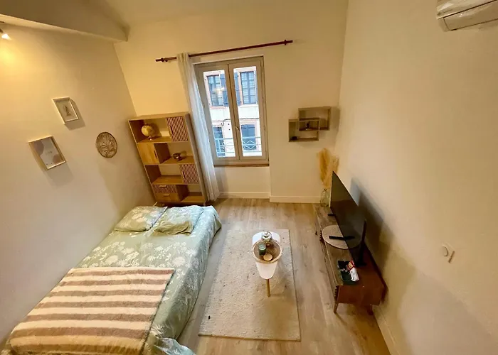 דירה Le Cocon - Hopital - Netflix - Climatisation