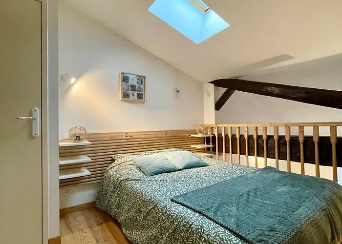 דירה Le Cocon - Hopital - Netflix - Climatisation *