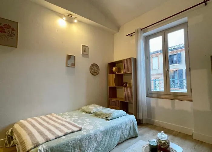 Le Cocon - Hopital - Netflix - Climatisation דירה מונטובן