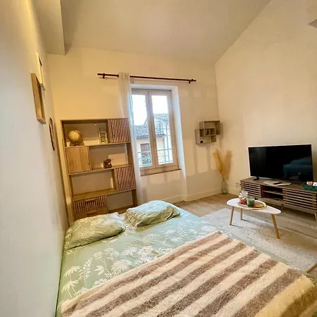 Appartement Le Cocon - Hôpital - Netflix - Climatisation Montauban