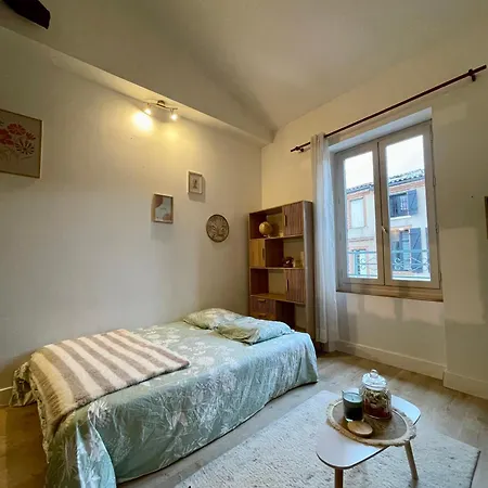 Le Cocon - Hôpital - Netflix - Climatisation Appartement Montauban
